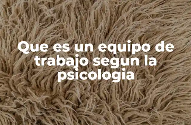 Que es un Equipo de Trabajo Segun la Psicologia