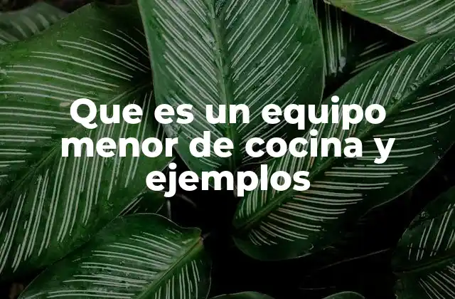 Que es un Equipo Menor de Cocina y Ejemplos