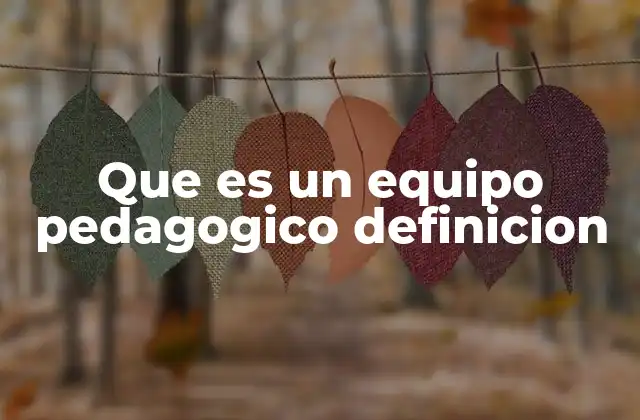 Que es un Equipo Pedagogico Definicion