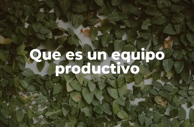 Que es un Equipo Productivo