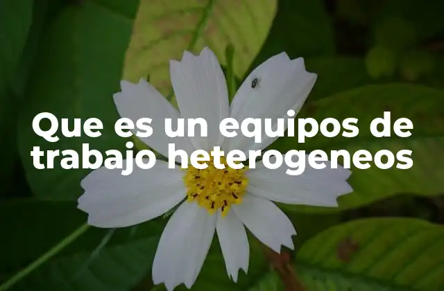 Que es un Equipos de Trabajo Heterogeneos