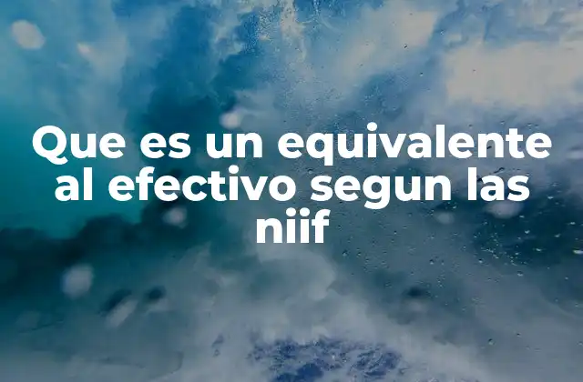 Que es un Equivalente Al Efectivo Segun las Niif