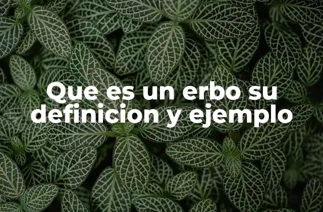 Que es un Erbo Su Definicion y Ejemplo