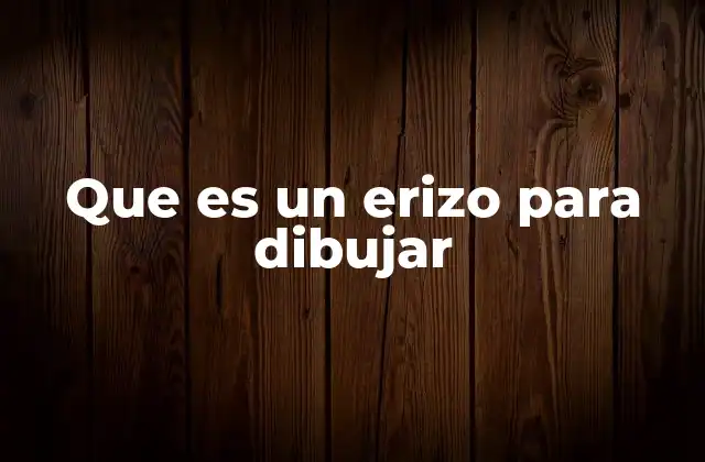 Que es un Erizo para Dibujar