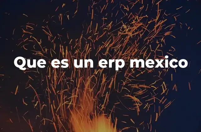 Que es un Erp Mexico