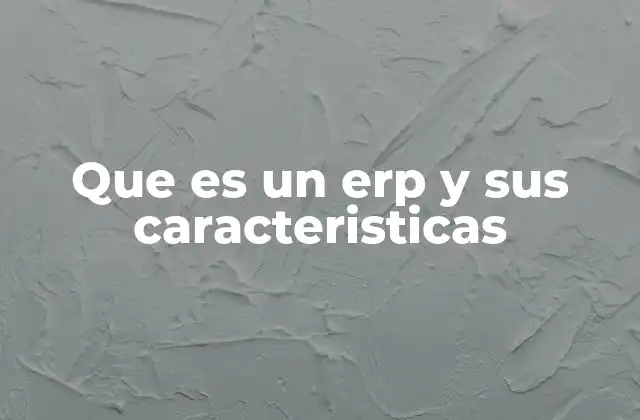 Que es un Erp y Sus Caracteristicas