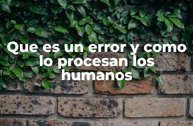 Que es un Error y como Lo Procesan los Humanos 2 La importancia de reconocer y aceptar los errores