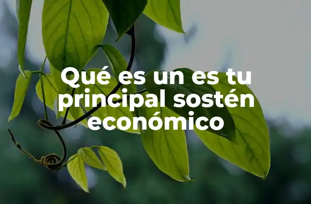 Qué es un es Tu Principal Sostén Económico