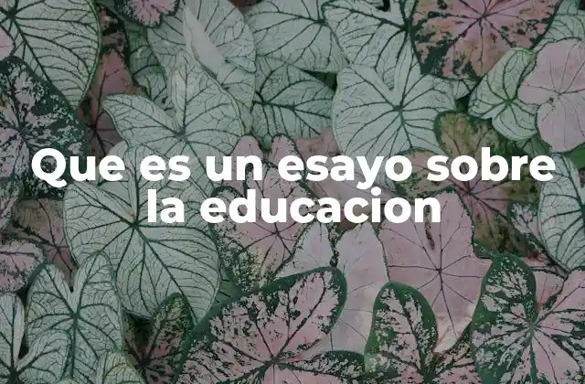 Que es un Esayo sobre la Educacion