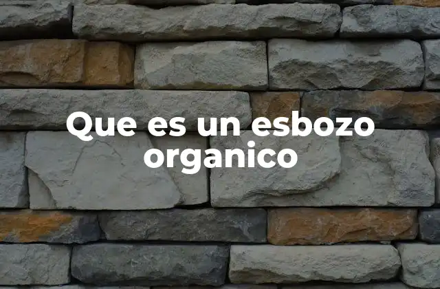 Que es un Esbozo Organico