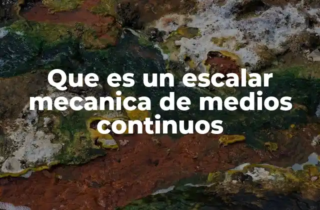 Que es un Escalar Mecanica de Medios Continuos