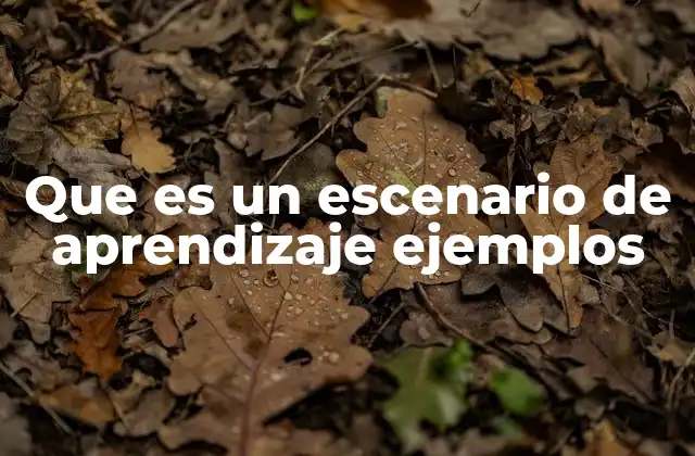 Que es un Escenario de Aprendizaje Ejemplos