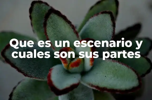 Que es un Escenario y Cuales Son Sus Partes