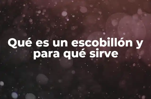 Qué es un Escobillón y para Qué Sirve
