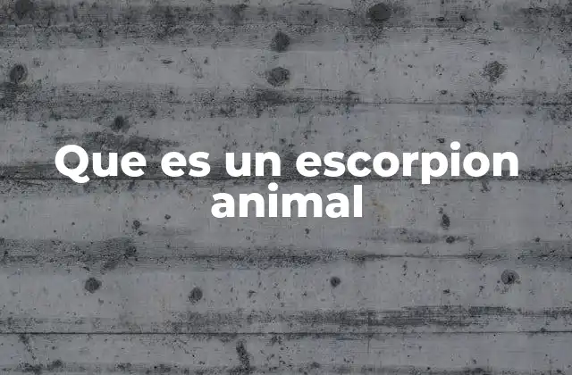 Que es un Escorpion Animal