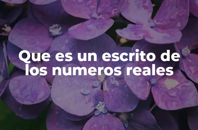 Que es un Escrito de los Numeros Reales 2 La importancia de comprender los números reales en la educación matemática