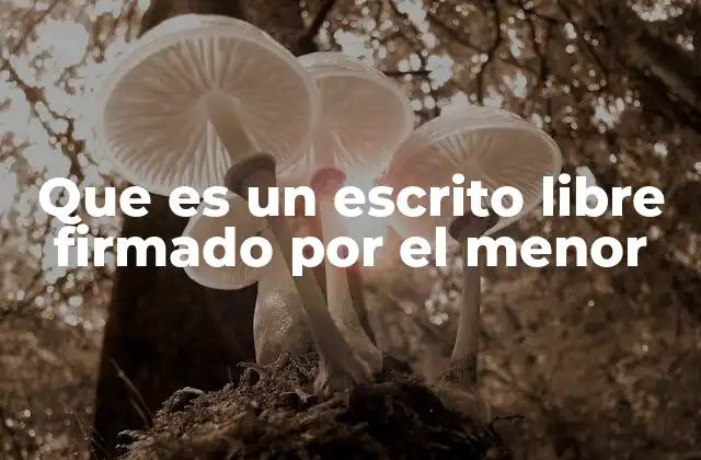 Que es un Escrito Libre Firmado por el Menor
