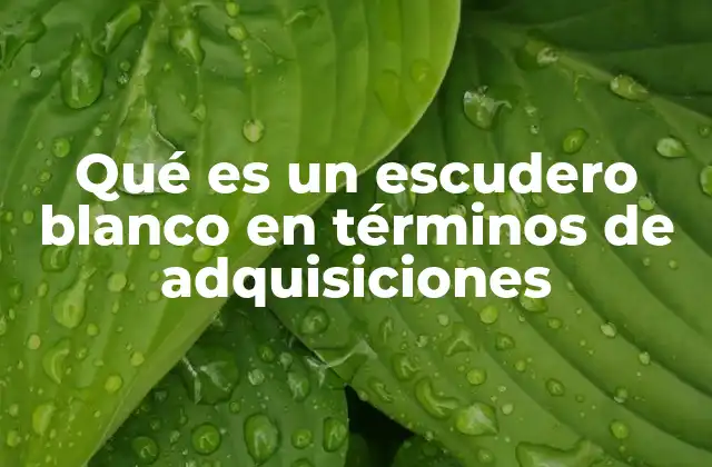 La importancia estratégica del escudero blanco en adquisiciones