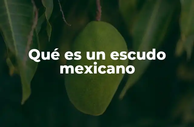 Qué es un Escudo Mexicano