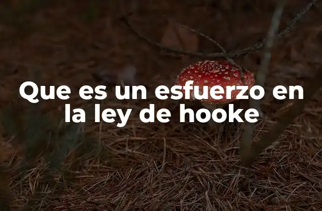 Que es un Esfuerzo en la Ley de Hooke