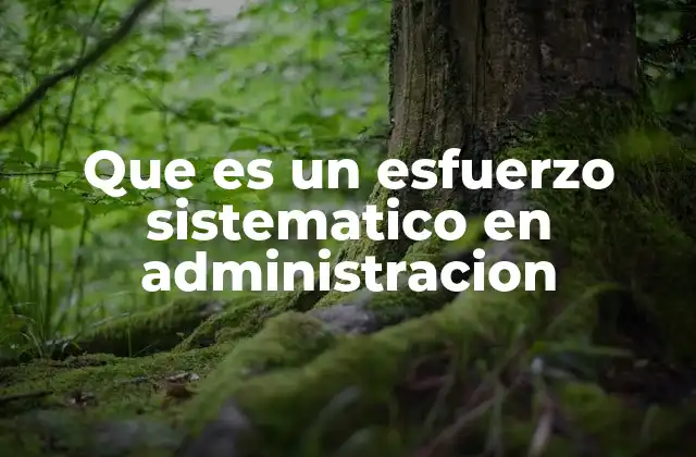 Que es un Esfuerzo Sistematico en Administracion 2 El papel del esfuerzo sistemático en la eficiencia organizacional