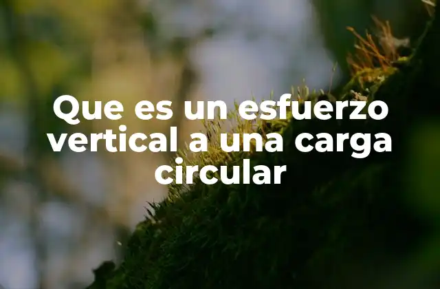 Que es un Esfuerzo Vertical a una Carga Circular