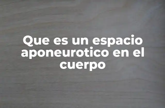 Que es un Espacio Aponeurotico en el Cuerpo