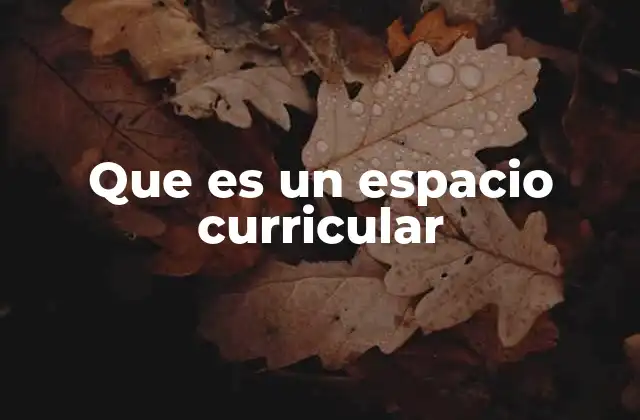 Que es un Espacio Curricular