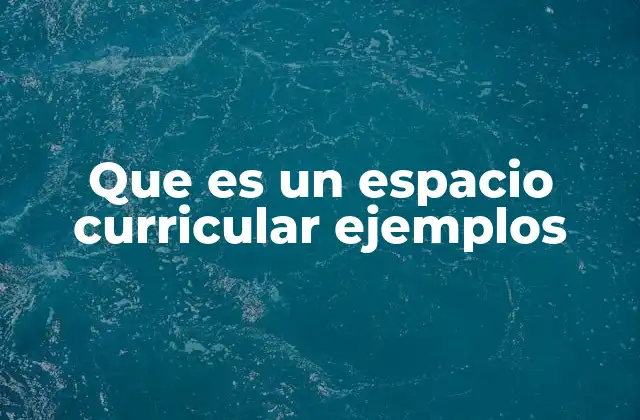 Que es un Espacio Curricular Ejemplos