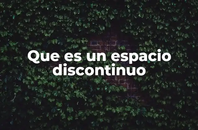 Que es un Espacio Discontinuo