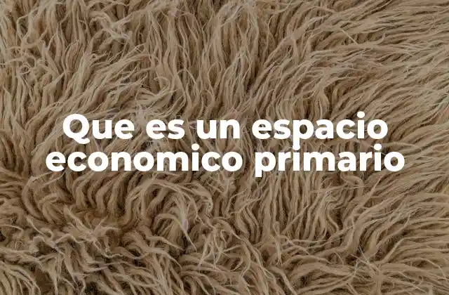 Que es un Espacio Economico Primario