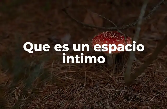 La importancia de los espacios íntimos en la vida moderna