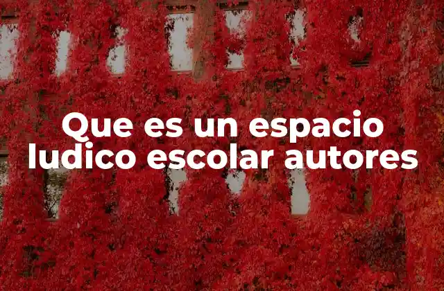 Que es un Espacio Ludico Escolar Autores