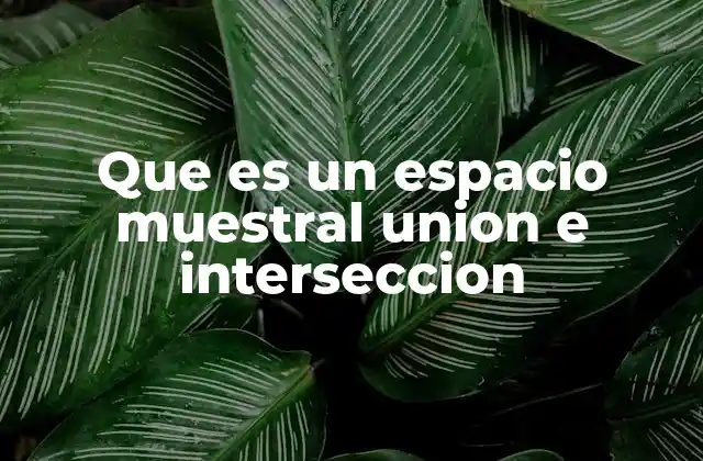 Que es un Espacio Muestral Union e Interseccion
