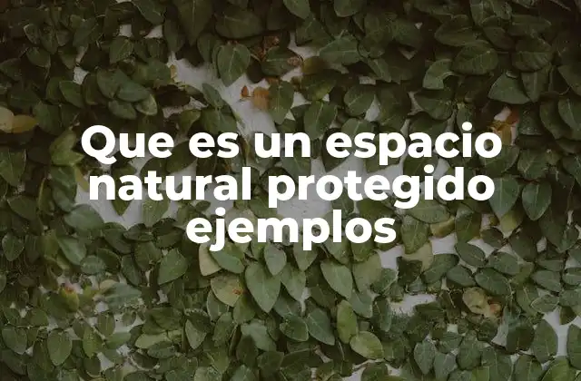 Que es un Espacio Natural Protegido Ejemplos