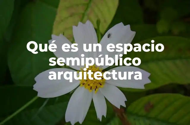 Qué es un Espacio Semipúblico Arquitectura