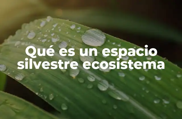 Qué es un Espacio Silvestre Ecosistema