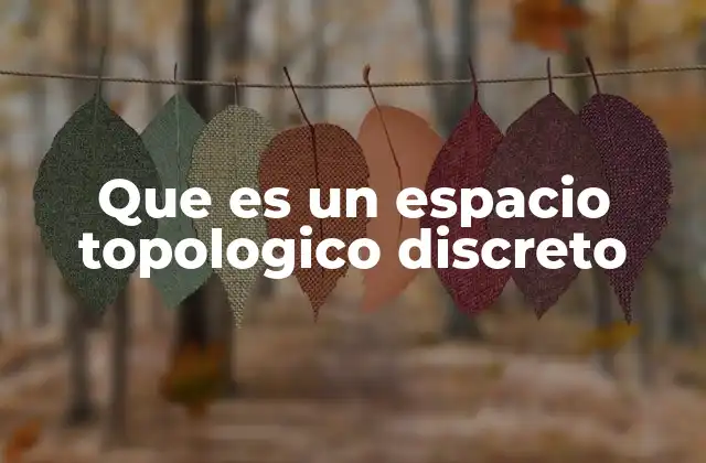 Que es un Espacio Topologico Discreto