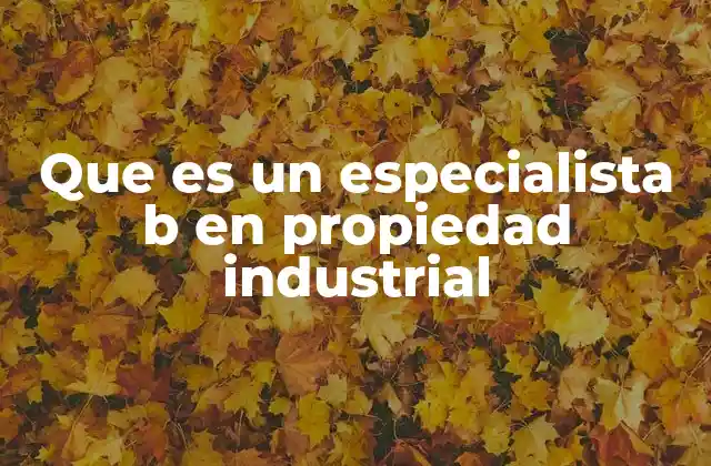 Que es un Especialista B en Propiedad Industrial