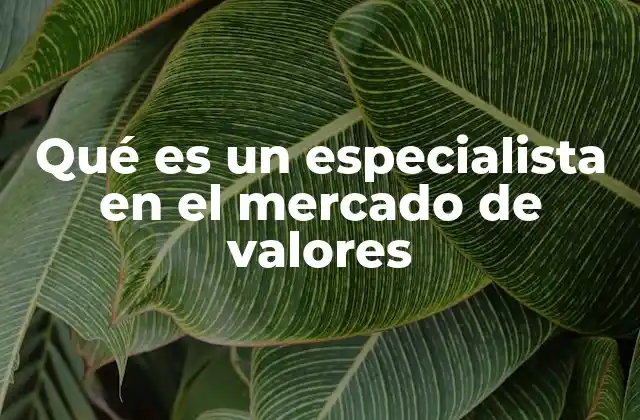 Qué es un Especialista en el Mercado de Valores