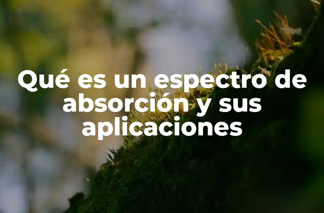 Qué es un Espectro de Absorción y Sus Aplicaciones