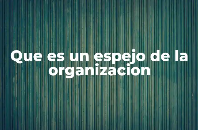 Que es un Espejo de la Organizacion 2 La organización como reflejo de su entorno