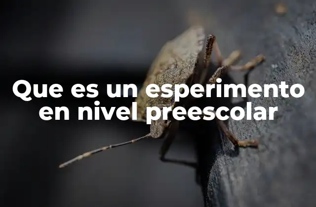 Que es un Esperimento en Nivel Preescolar 2 Cómo los experimentos en preescolar fomentan el desarrollo integral del niño