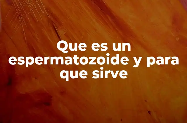 Que es un Espermatozoide y para que Sirve 2 El papel del espermatozoide en la reproducción humana