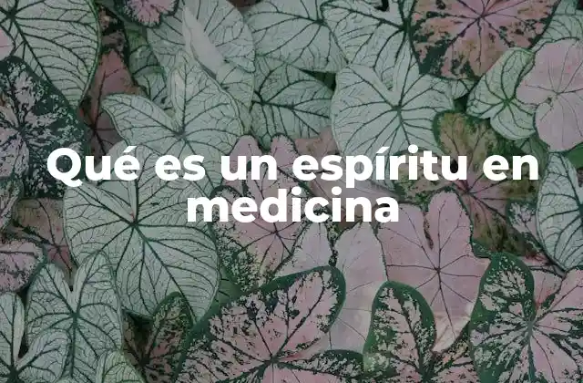 Qué es un Espíritu en Medicina