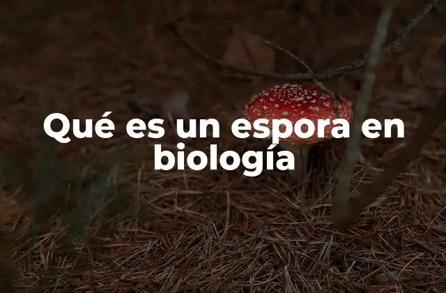 Qué es un Espora en Biología
