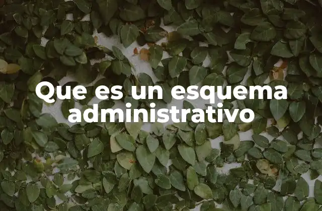 Que es un Esquema Administrativo