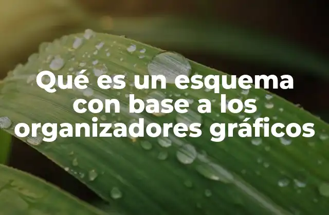 Qué es un Esquema con Base a los Organizadores Gráficos