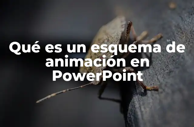 Qué es un Esquema de Animación en Powerpoint