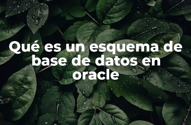Qué es un Esquema de Base de Datos en Oracle